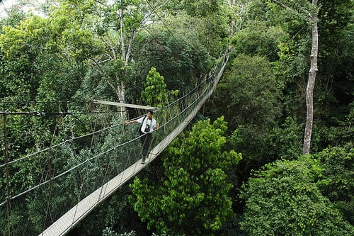 Highly Dangerous Bridges