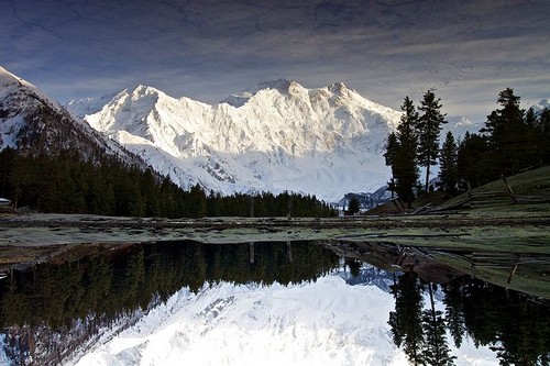 Fairytale Meadows Pakistan