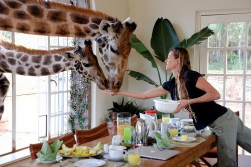 Giraffe Manor Hotel Kenya