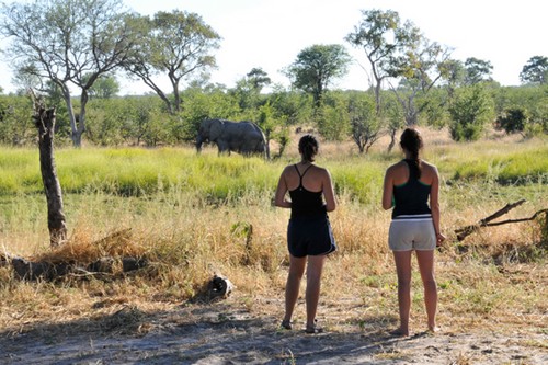 Okavango-Delta Botswana
