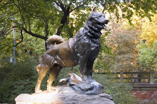 Balto the Sled