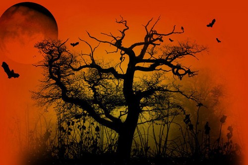 10 Halloween Superstitious Customs That Never Change