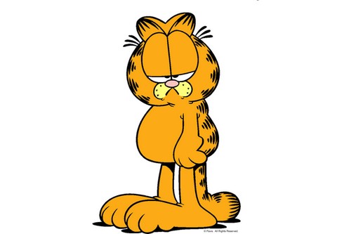 Facts Related To Garfield