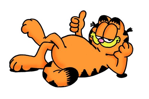 Facts Related To Garfield