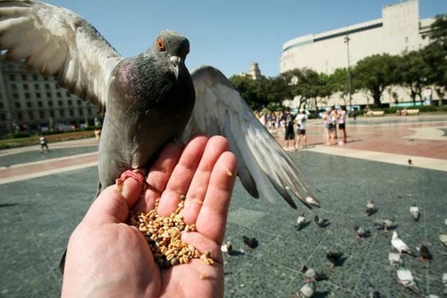 10 weird laws