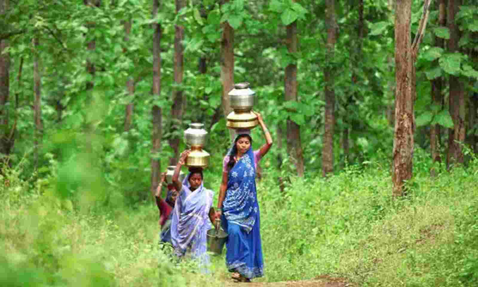 Most Endangered Forests