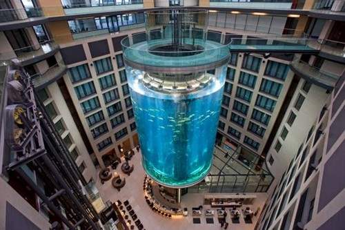 Unique Elevators