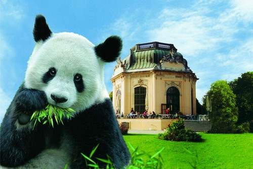 10 Most Fascinating Zoos in the World