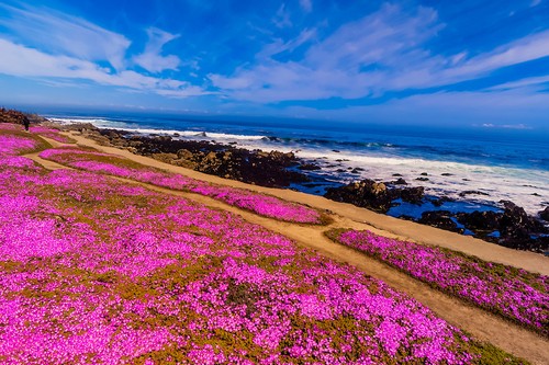 Coastal Trails California, USA