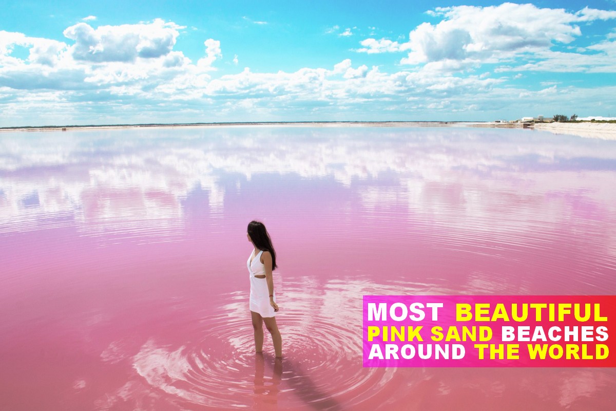 Wonderful Pink Beaches in the World