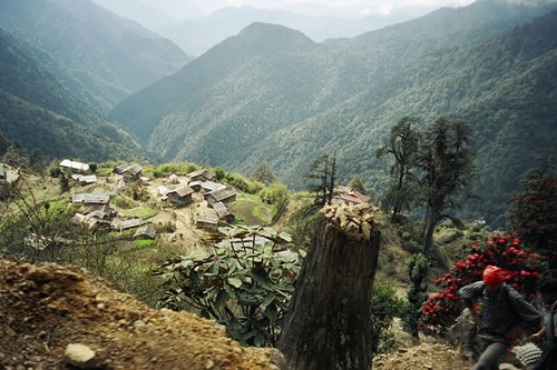 The Dzongri Trek Ideas for Holiday in Sikkim