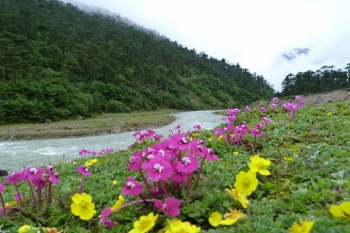 Beautiful Places In India