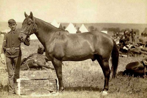 Comanchee Famous War Horses