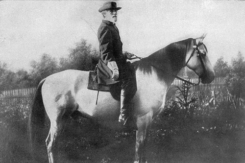 Traveller Famous War Horses