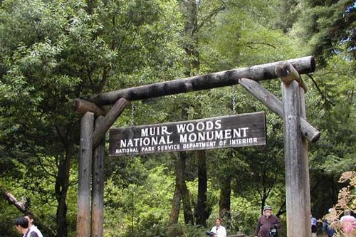 Muir Woods