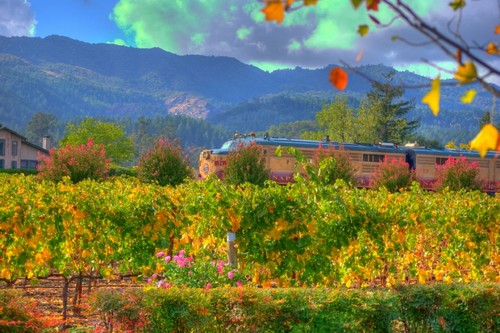 Napa Valley Wine Train from Napa