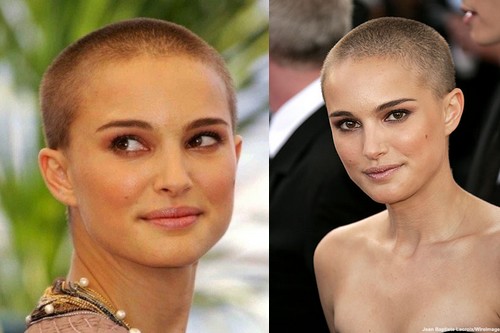 Natalie Portman Celebs with Bald Head