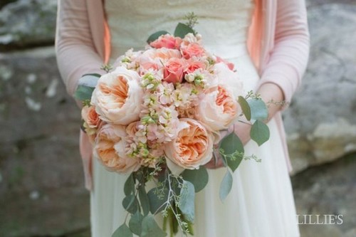 Most Expensive Flowers