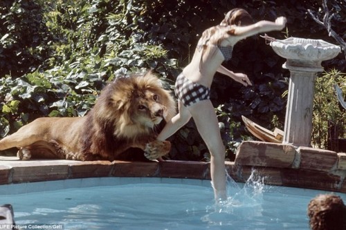 Accidents That Occurred During Film Shooting