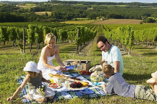 10 Exciting Things About Festivals