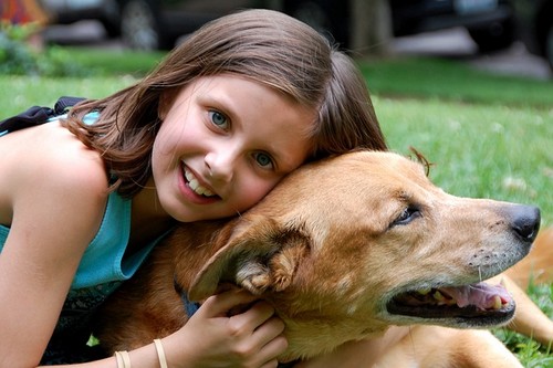 Top 10 Dog Breeds to Join Your Family Top 10 Dog Breeds - Top 10 Dog Breeds to Join Your Family