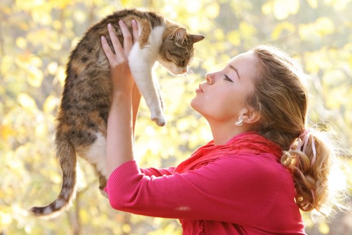 10 Health Benefits of Living with Cats