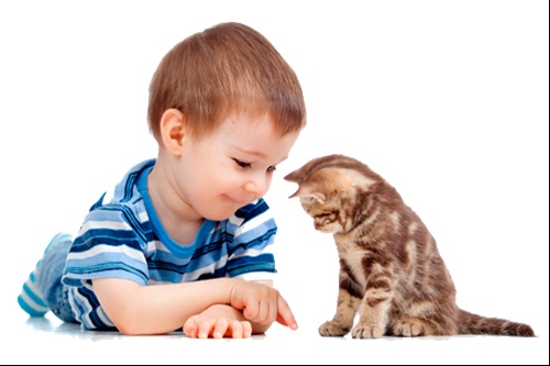 health benefits of living with cats