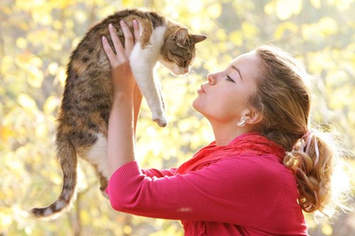 manfaat kesihatan hidup dengan kucing