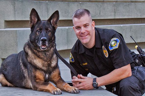 best k9 dogs