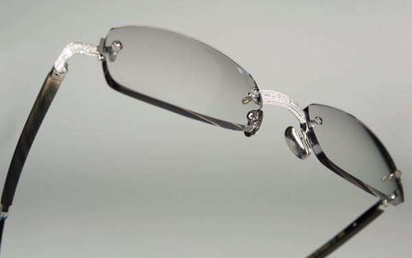 上院議員 のれん 略奪 are these the worlds most expensive glasses に対応 請う 樹皮