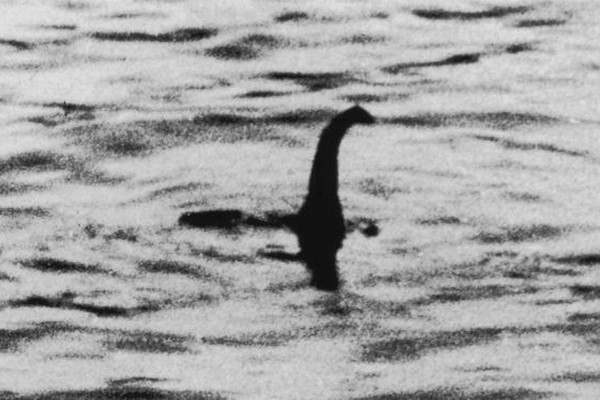 Mysterious Creatures Spotted on Camera
