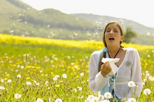 Pollen Allergies