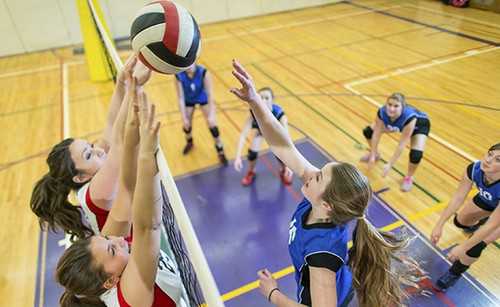 Women Volleyball Players