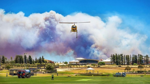 Bullsbrook Fire Angel