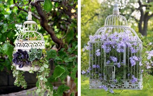 indoor hanging succulent garden