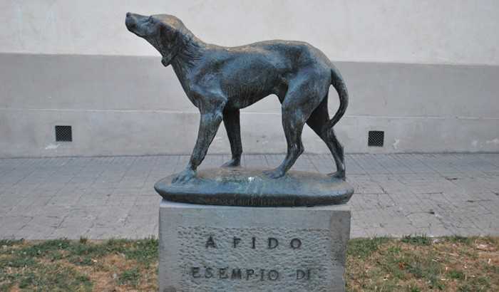 Fido (dog)