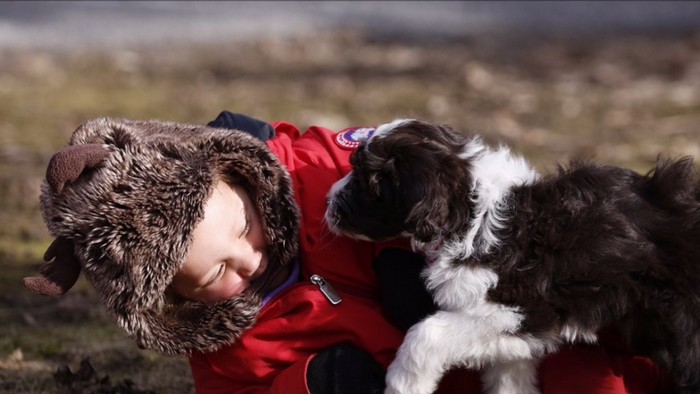 Justin Trudeau’s Dog Kenzie
