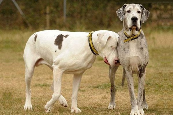 Maddison and Lily