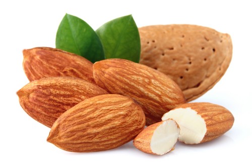 Organic Bitter Almonds