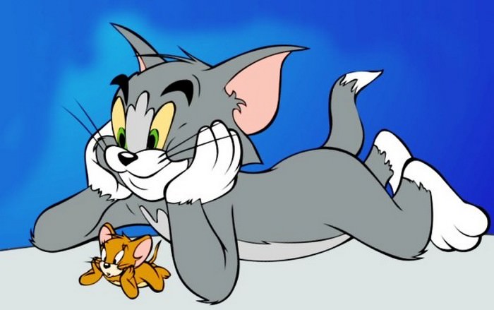 10 Things You Might Wanna Know About Tom And Jerry Wonderslist