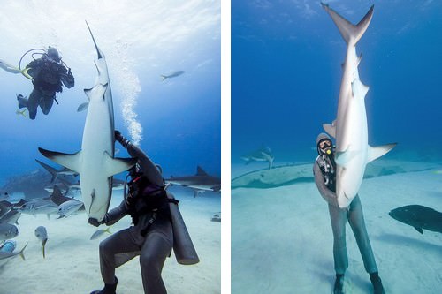 10 mind blowing facts