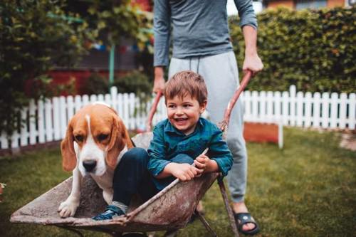Surprising Health Benefits of Owning a Dog