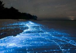 10 Amazing Things In Nature You Won T Believe Actually Exist 10 Amazing Things In Nature You Won T Believe Actually Exist