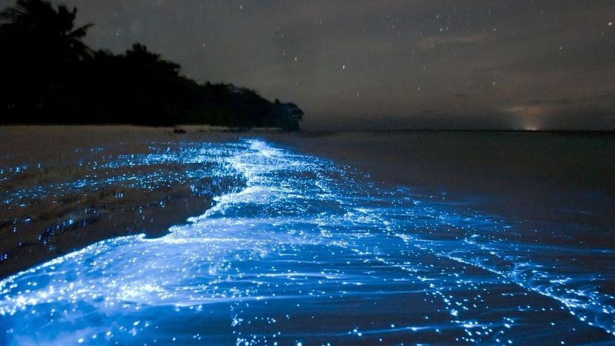 10 Amazing Things In Nature You Won't Believe Actually Exist