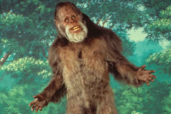 Bigfoot Savage