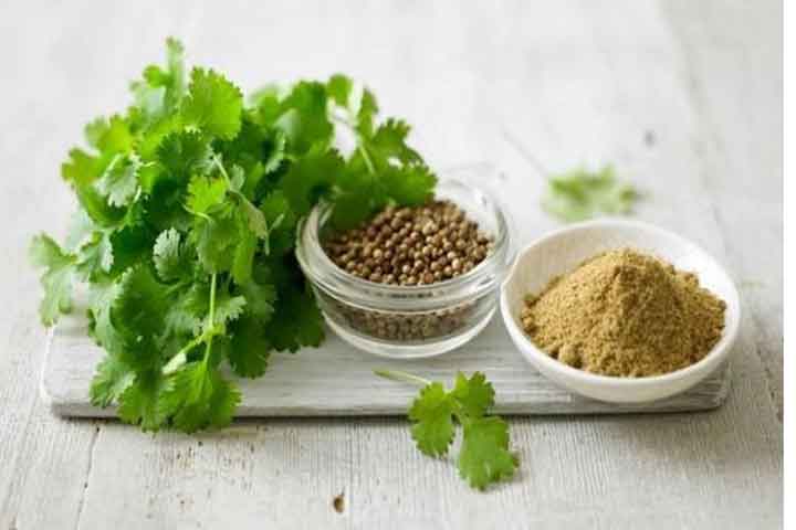 Coriander seeds