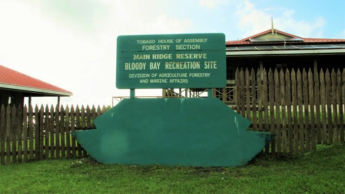 Main Ridge Forest Reserve