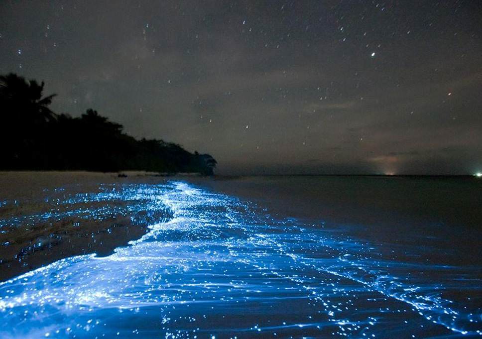 Sea of Stars, Maldives