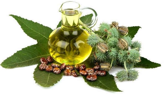 Castor Oil Uses - 10 Awesome Reasons to Keep Castor Oil at Home 1 Castor Oil Uses