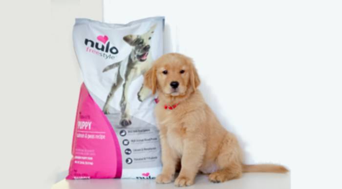 10 Essential Puppy Products Every Dog Owner Should Have